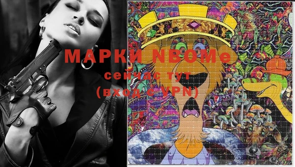 трава Аркадак