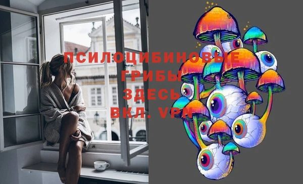 трава Аркадак