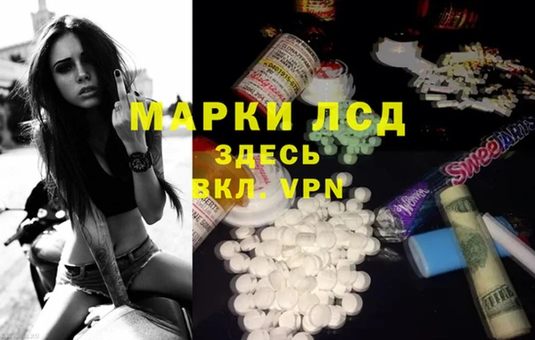 трава Аркадак